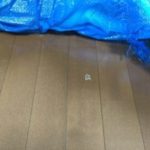 福岡県粕屋町で新築のフローリング剥がれ傷補修