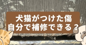 犬猫がつけた傷は自分で補修できる？早めに行うのがおすすめ